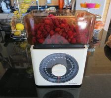 Récolte de framboises