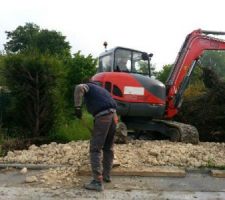 Le terrassier arrive pour dessouchage du reste des tuyas (70ml) , cassage d'une dalle existante  et creation de l'accès chantier
