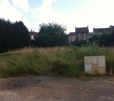 Terrain avant nettoyage