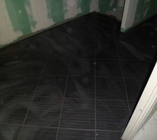 Carrelage salle de bain