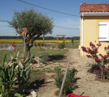 Une partie de notre jardin. Il nous reste à préparer le terrain pour semer du gazon cet automne et faire un trottoir autour de la maison avec bordures et petits cailloux