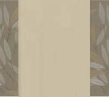 Les murs de la douche.
Entre les 2 frises, la robinetterie