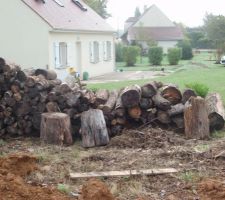 N&ocirc;tre tas de bois