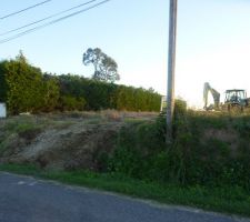 Premier coup de pelle