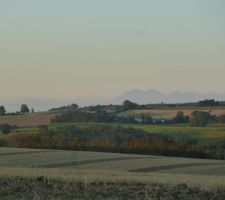Vue sur les Pyrénées depuis notre terrain