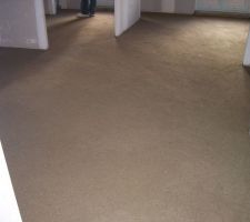enfin après le froid ils ont pu faire la chappe il reste plus que l'isolant avant de poser le carrelage c vrai qu'on se s'en plus chez soit on ne voit plus c gaines affreuses.
