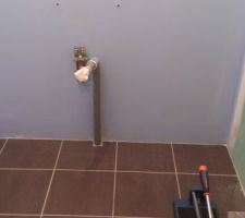 Application du Webers sys protect