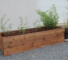 Notre jardini&egrave;re maison de 2m sur 50cm