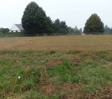 Limite gauche depuis chemin d'acc&egrave;s