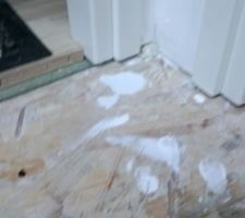 Etat de l'OSB