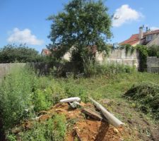 Le jardin...en friche.....