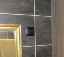 Prise noire, histoire d'&ecirc;tre plus discr&egrave;te