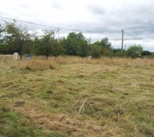 En plein debroussaillage