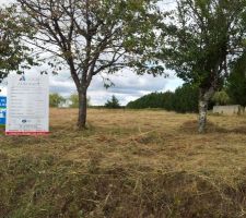 C mieux sans les hautes herbes on redécouvre les panneaux