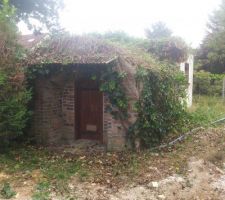 Cave apr&egrave;s d&eacute;broussaillage des ronces et lierres