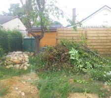 Tas de branches apr&egrave;s taillage et d&eacute;broussaillage