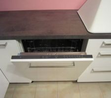 Et voil&agrave; le r&eacute;sultat ! Un beau lave-vaisselle "Reng&ouml;ra" bien encastr&eacute;.