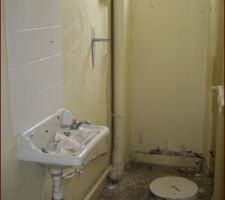 Wc rez de chauss&eacute;e mosaique marron granito au sol