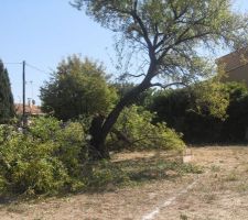 Pendant la "découpe"