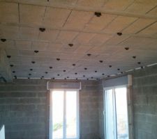 Suspentes pour le plafond du séjour/cuisine