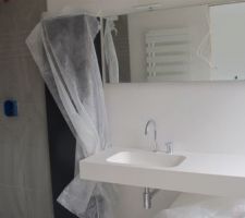 Vasque Salle de bain Parent