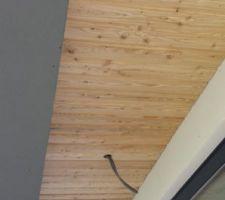 Revêtement en bois de Mélèze sous les toits terrasse