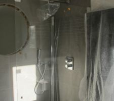 Carrelage murale de notre douche italienne avec le hublot.