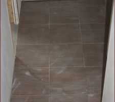 Carrelage dans l'entr&eacute;e
