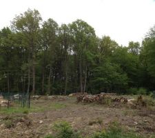 Il a fallu couper des arbres pour implanter la maison