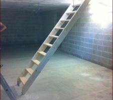 Dalle plus escalier de meunier