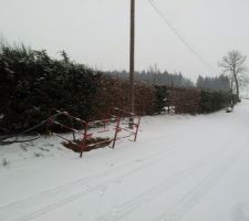 Terrain avec la haie