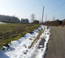 Terrain avec la haie coupé