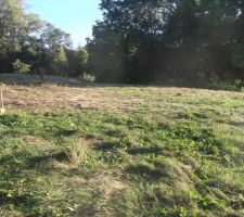 Le future emplacement de la maison