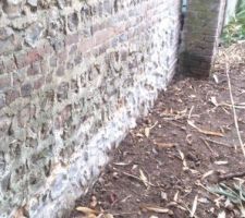 R&eacute;paration du mur