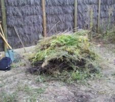 Un peu de jardinage