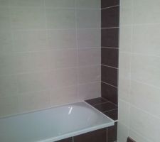 La faïence de la salle de bain (côté baignoire)
