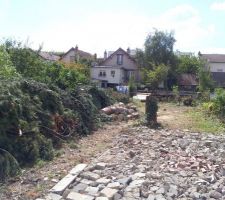 Terrain apr&egrave;s abattage d'arbres