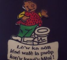 A mettre dans la salle de bain- wc du rdc
