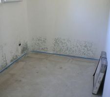 La chambre d'ami, beurkkkkkkkk !!