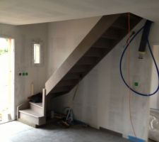 L'escalier en bois exotique peint en gris!!