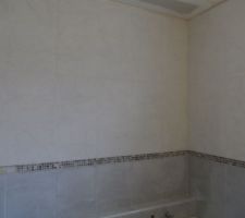 Joints de la fa&iuml;ence