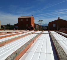 Voila le vide sanitaire est mont&eacute;,deux ouvriers sur le chantier, &ccedil;a a &eacute;t&eacute; vite fait...