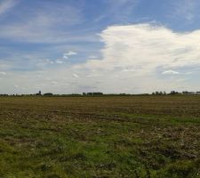 Vue de l'arri&eacute;re de la maison