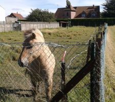 L'environnement est pas trop mal...