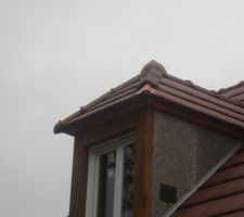 Le fen&ecirc;tre gauche, il manque une tuile....