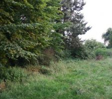 UN HAVRE DE PAIX NOYE DANS LA VERDURE
