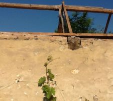Petite surprise, bien desagreable, il y une poutre dans le mur a la place des pierres. Il va falloir beaucoup plus de beton et d'agglos pour continuer a construire