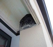 Projections dans le coffre volet