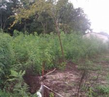 Vivement que le terrassier passe