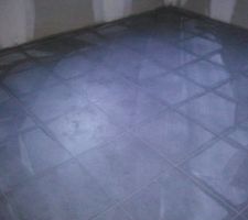 Les m&ecirc;mes carreaux dans toutes les pi&egrave;ces.